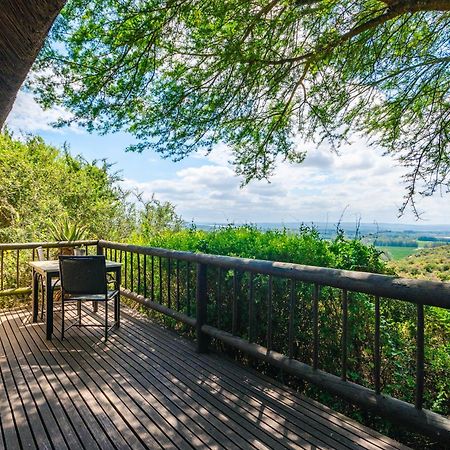 Hitgeheim Country Lodge Addo Eksteriør bilde