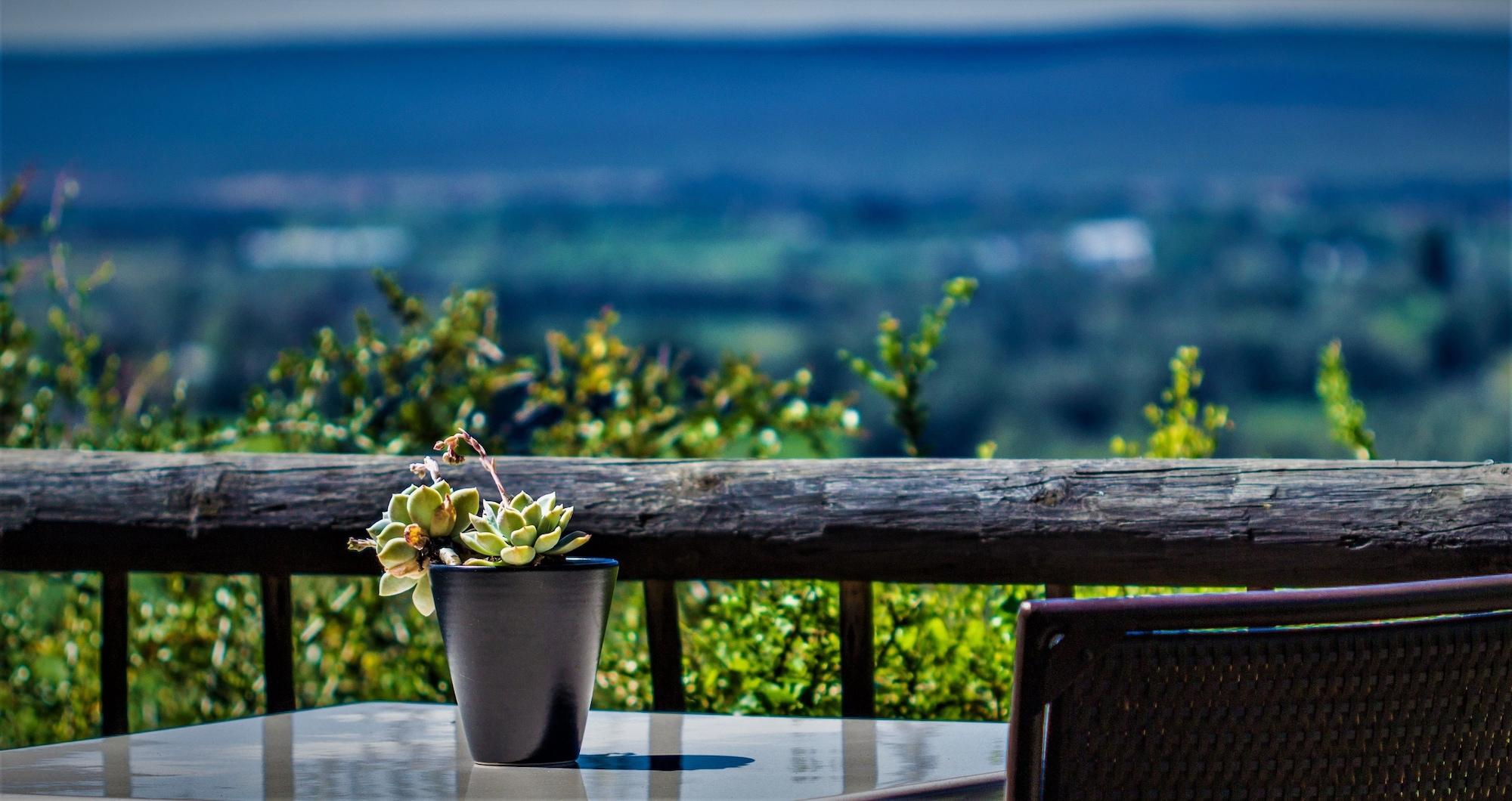 Hitgeheim Country Lodge Addo Eksteriør bilde