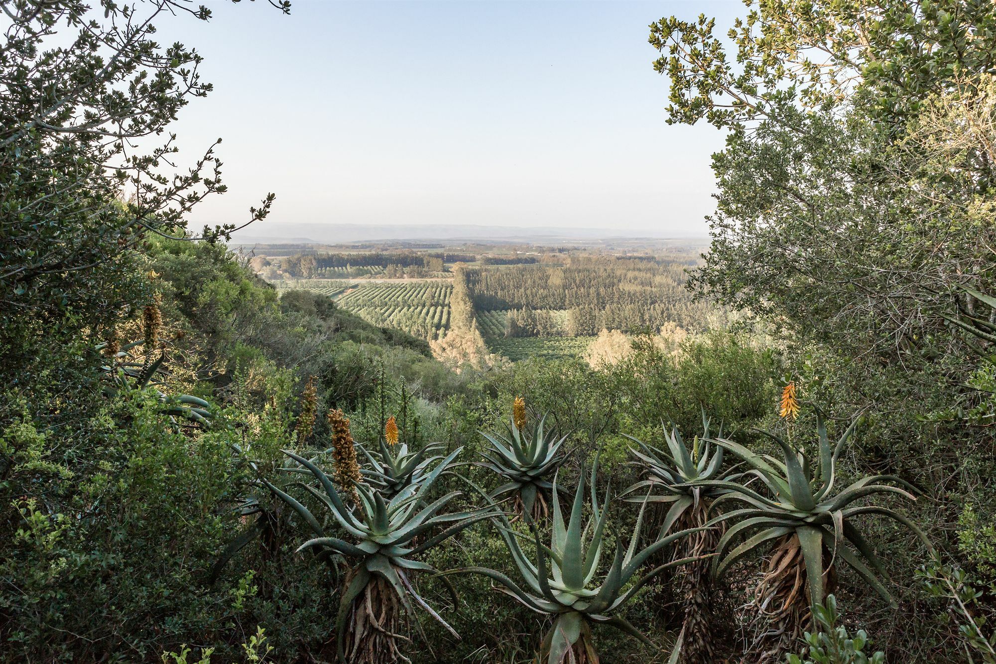 Hitgeheim Country Lodge Addo Eksteriør bilde